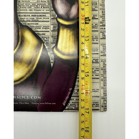 Hardly Strictly Bluegrass Poster 2011 John Mavroudis San Fransisco Moonalice - Picture 12 of 13